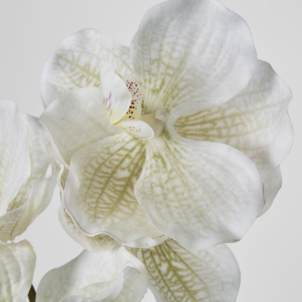 Real Touch Orchid 78Cm White