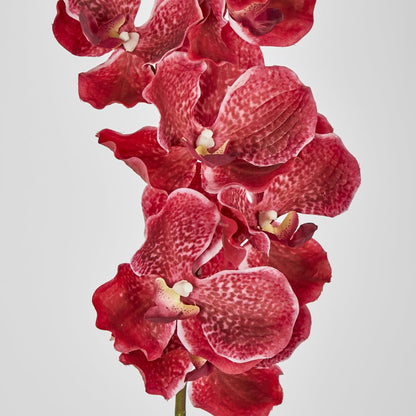 Real Touch Orchid 78Cm Fuschia