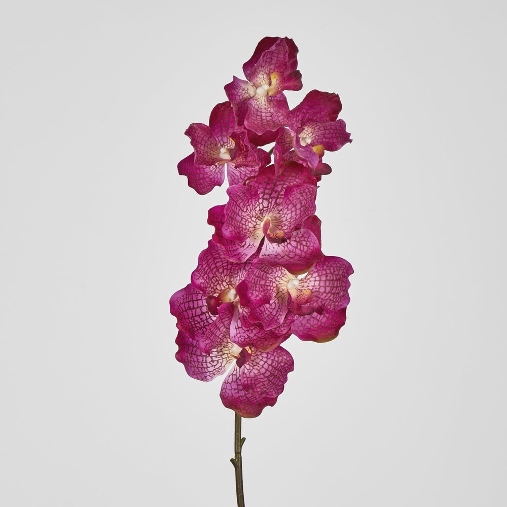 Real Touch Orchid 78Cm Purple