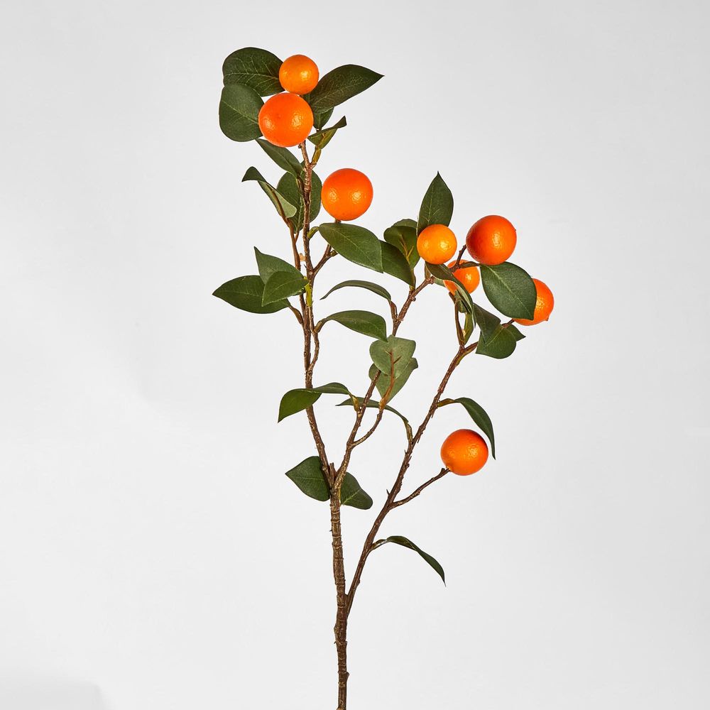 Mandarin Stem With Fruits 78Cm