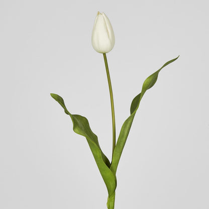 Soft Touch Tulip Stem White