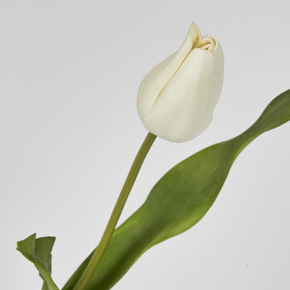 Soft Touch Tulip Stem White