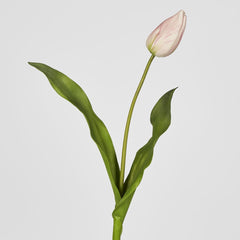 Soft Touch Tulip Stem Light Pink