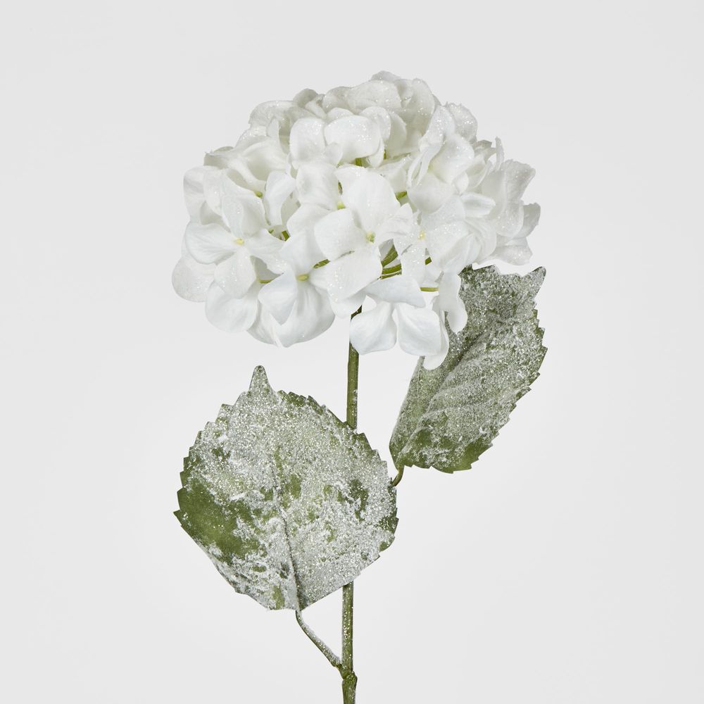 Snow Covered White Christmas Hydrangea With 2 Leaves