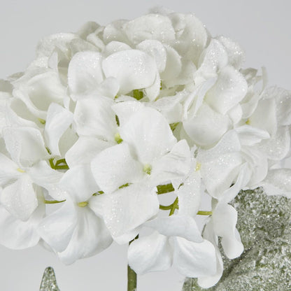 Snow Covered White Christmas Hydrangea With 2 Leaves