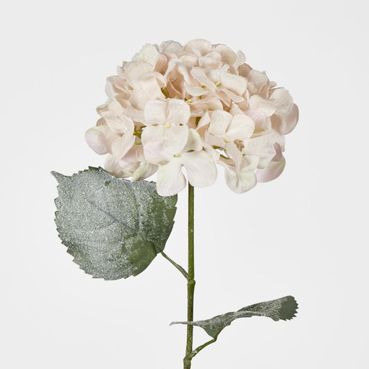 Snow Covered Pink Christmas Hydrangea With 2 Leaves