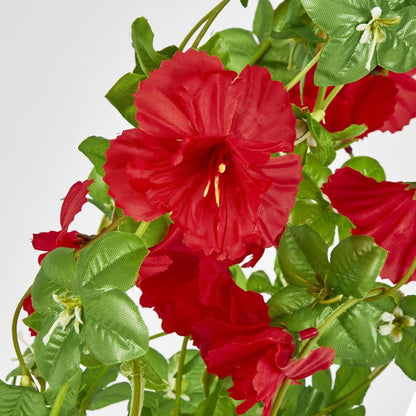 芙蓉花环