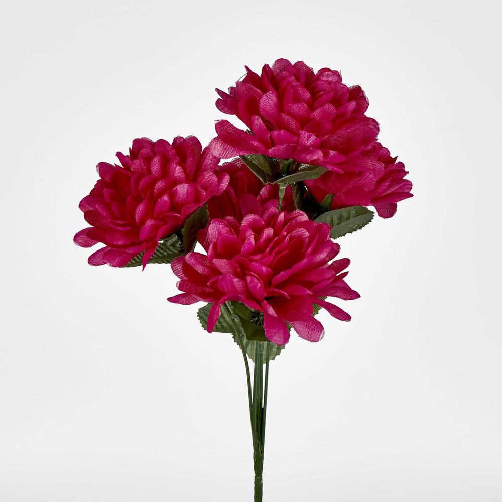 菊花丛仅以盒装出售