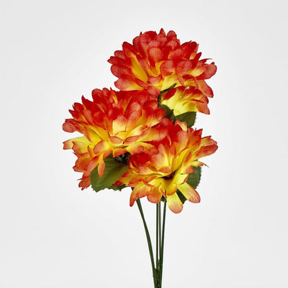 菊花丛仅以盒装出售