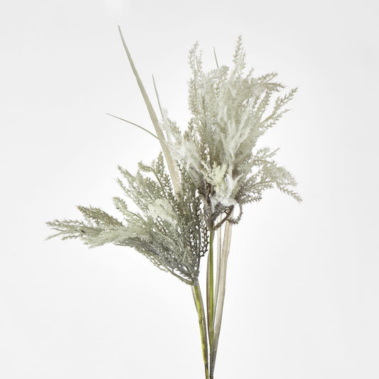 Light Grey Blue Pampas