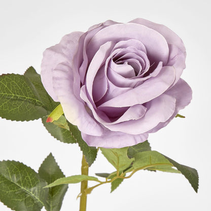 Lilac Purple Open Rose Stem 68Cm