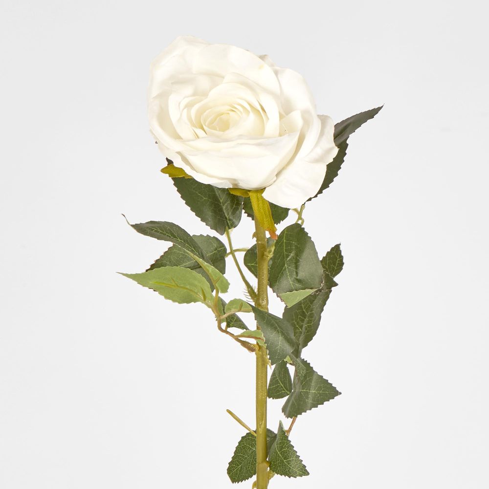 White Open Rose Stem 68Cm