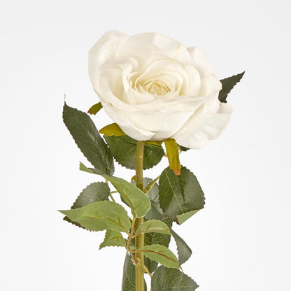 White Open Rose Stem 68Cm