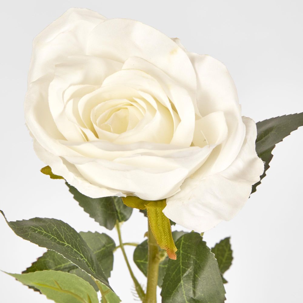 White Open Rose Stem 68Cm