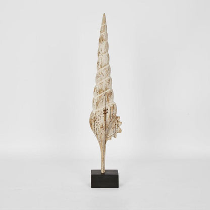 Cerith On Stand