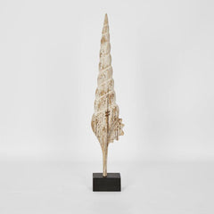 Cerith On Stand