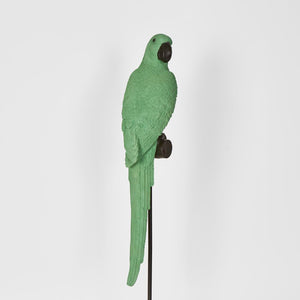 Amabela Parrot Medium Green