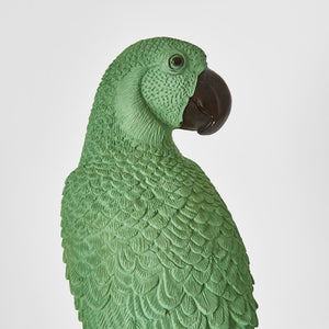 Amabela Parrot Medium Green