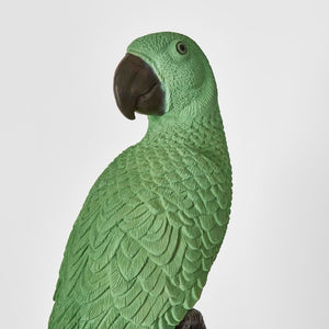 Amabela Parrot Large Green