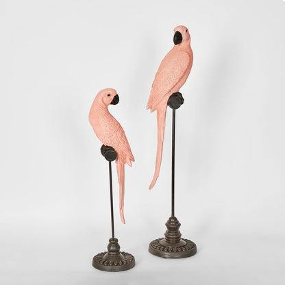 Amabela Parrot Small Pink