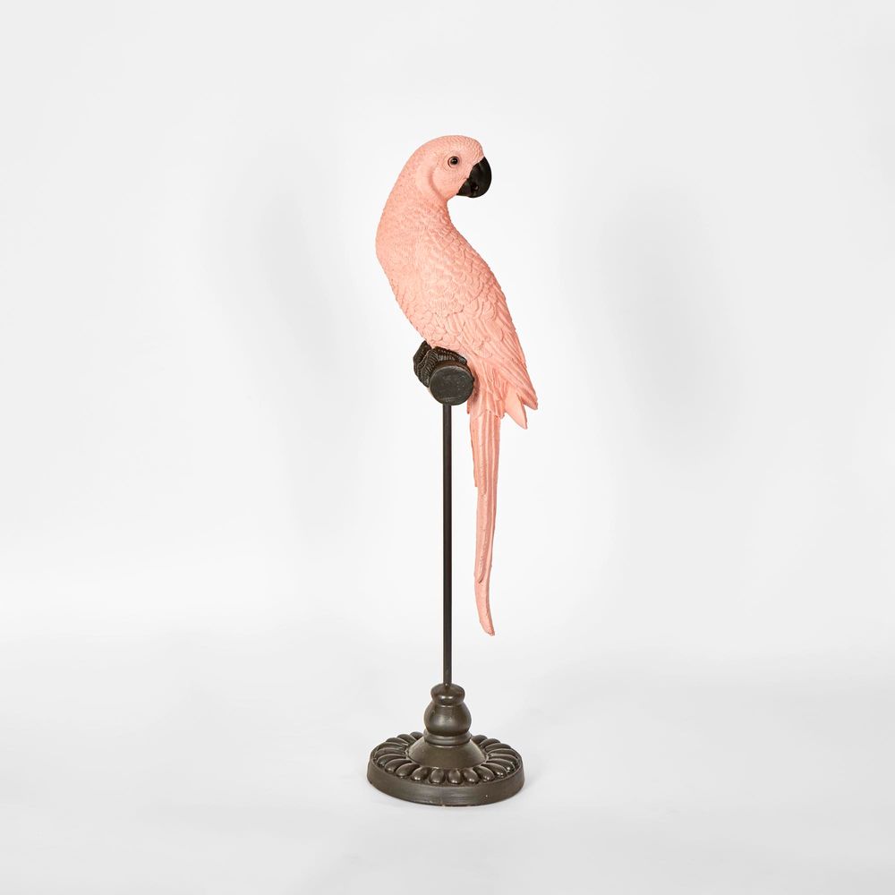 Amabela Parrot Small Pink