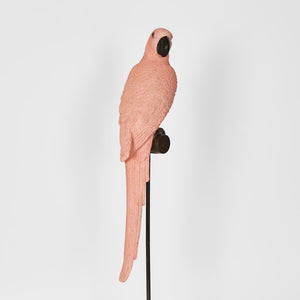 Amabela Parrot Medium Pink