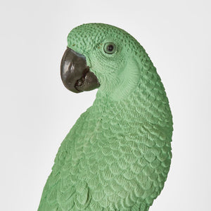 Amabela Parrot Small Green