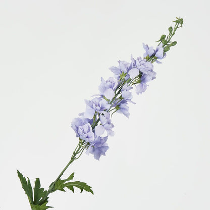 Bella Single Head Delphinium Lavender