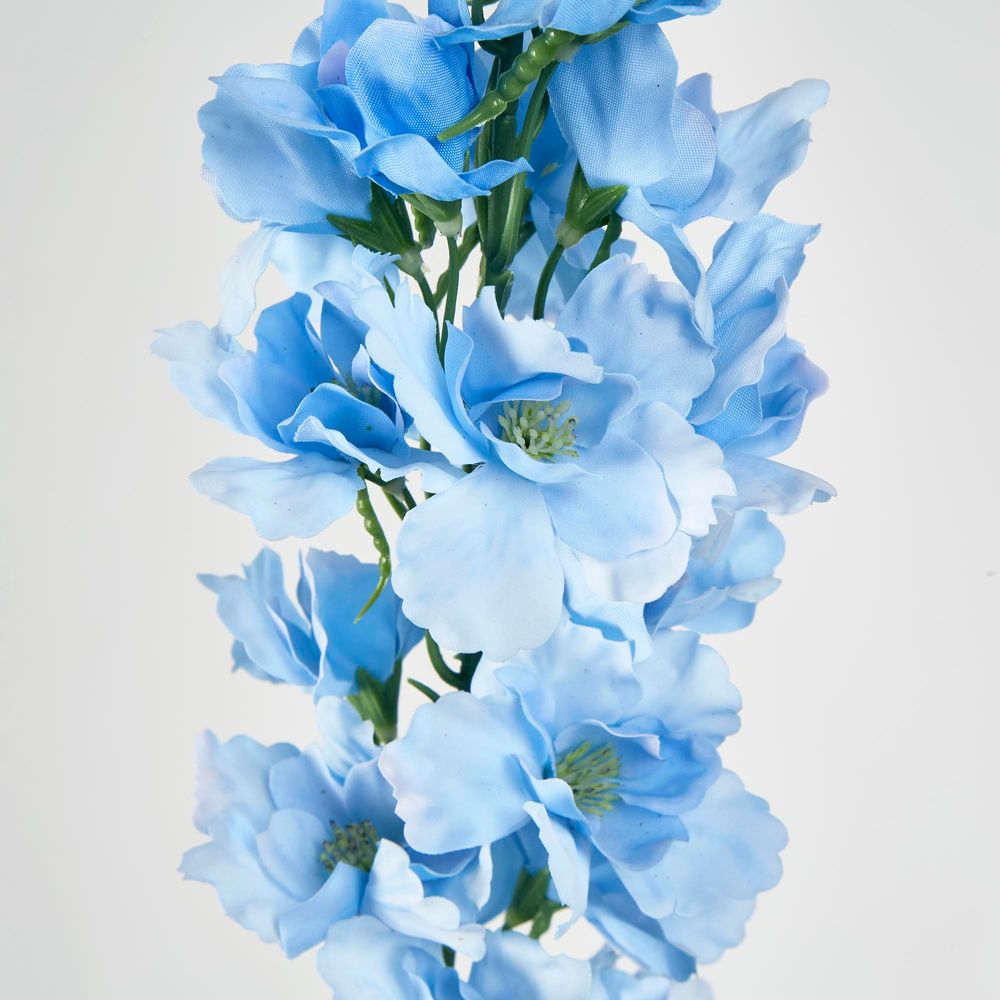 Bella Single Head Delphinium Light Blue