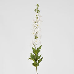 Bella Single Head Delphinium White