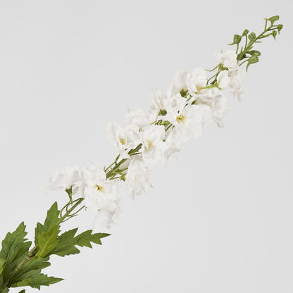 Bella Single Head Delphinium White