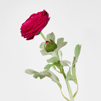 Clara Fuschia Ranunculus Spray 49Cm