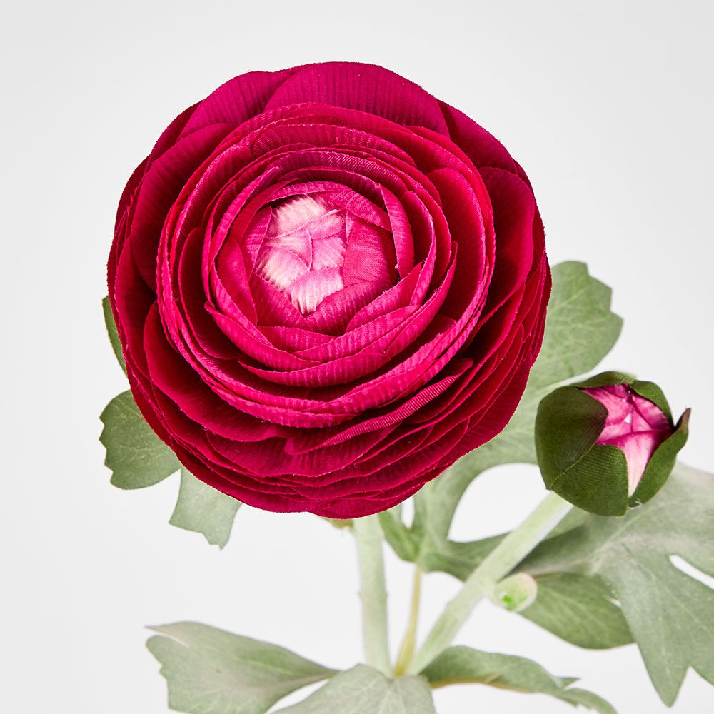 Clara Fuschia Ranunculus Spray 49Cm