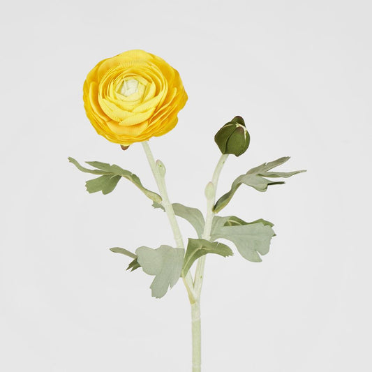 Clara Yellow Ranunculus Spray49Cm