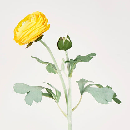 Clara Yellow Ranunculus Spray49Cm