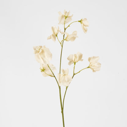 Jane Sweet Pea 60Cm Off White