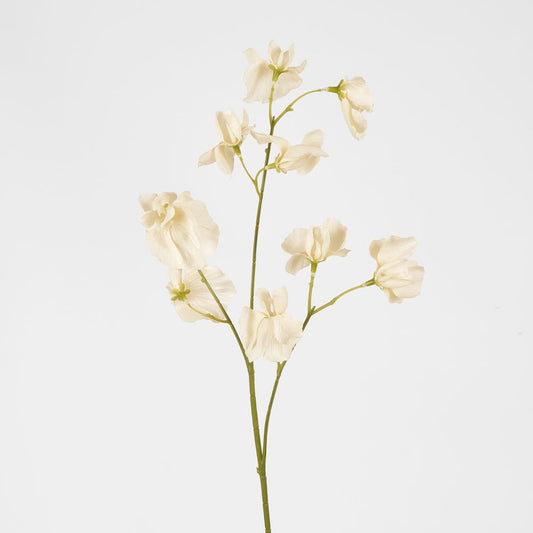 Jane Sweet Pea 60Cm Off White