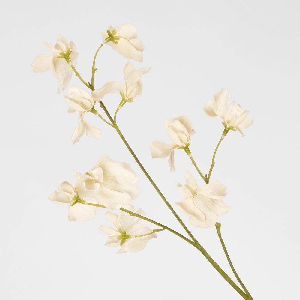 Jane Sweet Pea 60Cm Off White