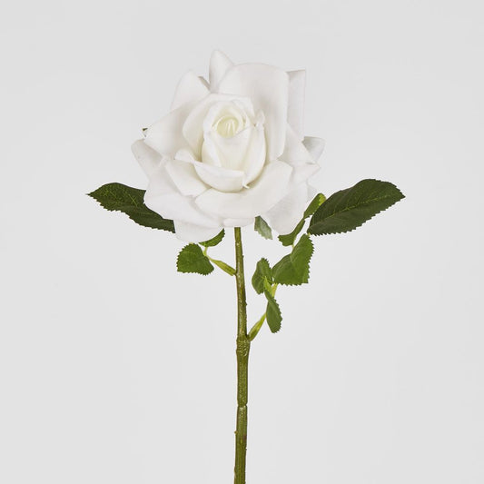 Walter Real Touch Rose Stem Ivory 61Cm