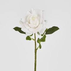 Walter Real Touch Rose Stem Ivory 61Cm