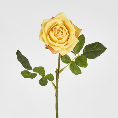 Walter Real Touch Rose Stem Yellow 61Cm