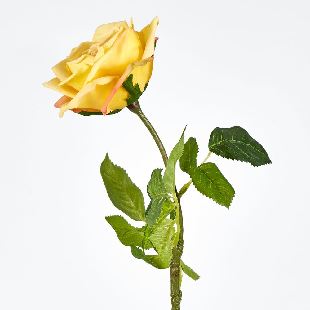 Walter Real Touch Rose Stem Yellow 61Cm