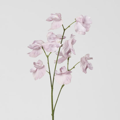 Jane Sweet Pea 60Cm White & Purple