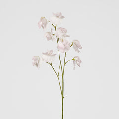 Jane Sweet Pea 60Cm Pink