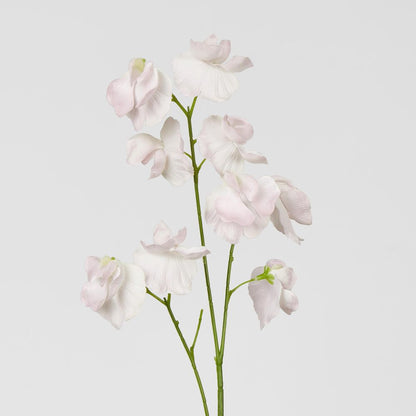 Jane Sweet Pea 60Cm Pink