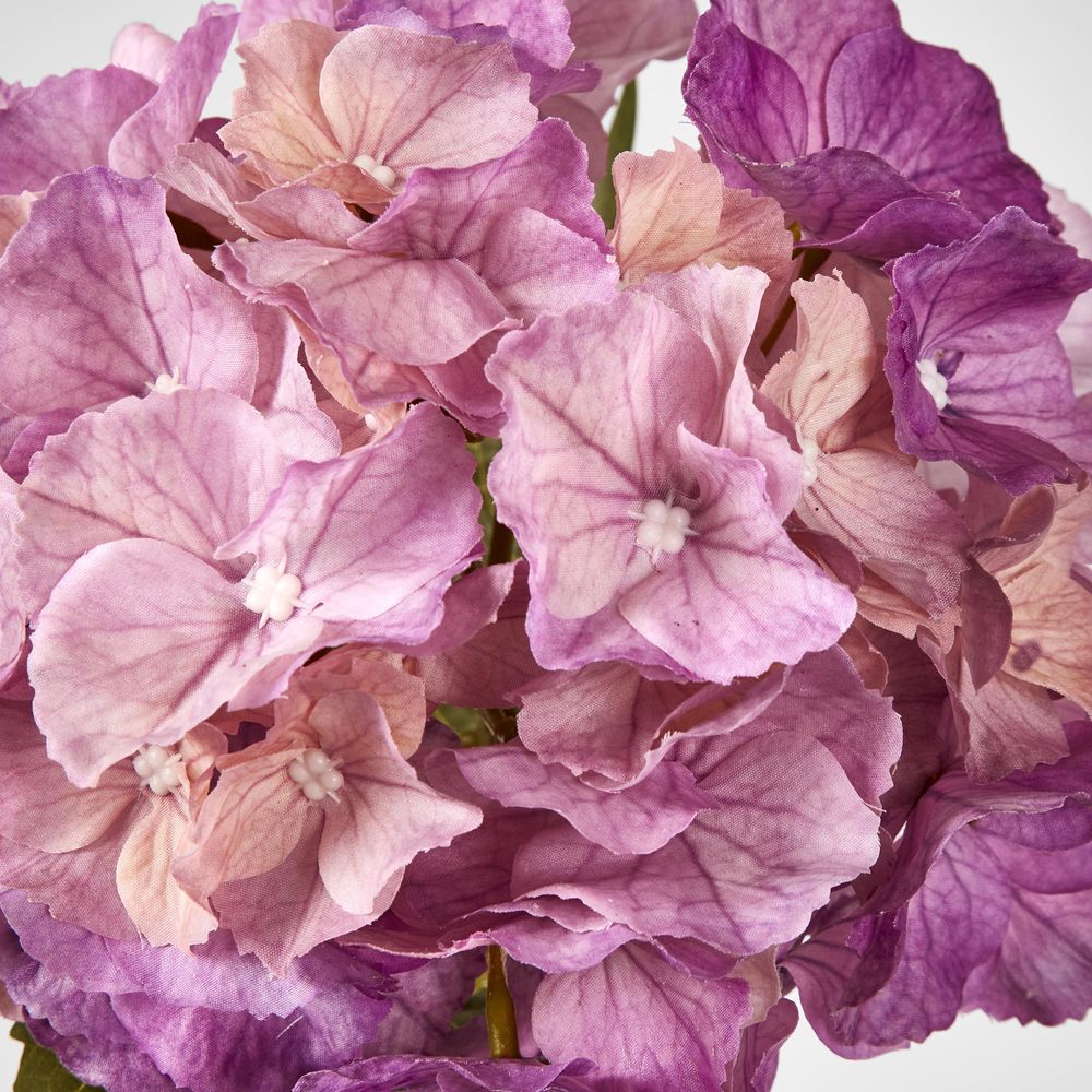 Susan Hydrangea Soft Touch Plum 52Cm