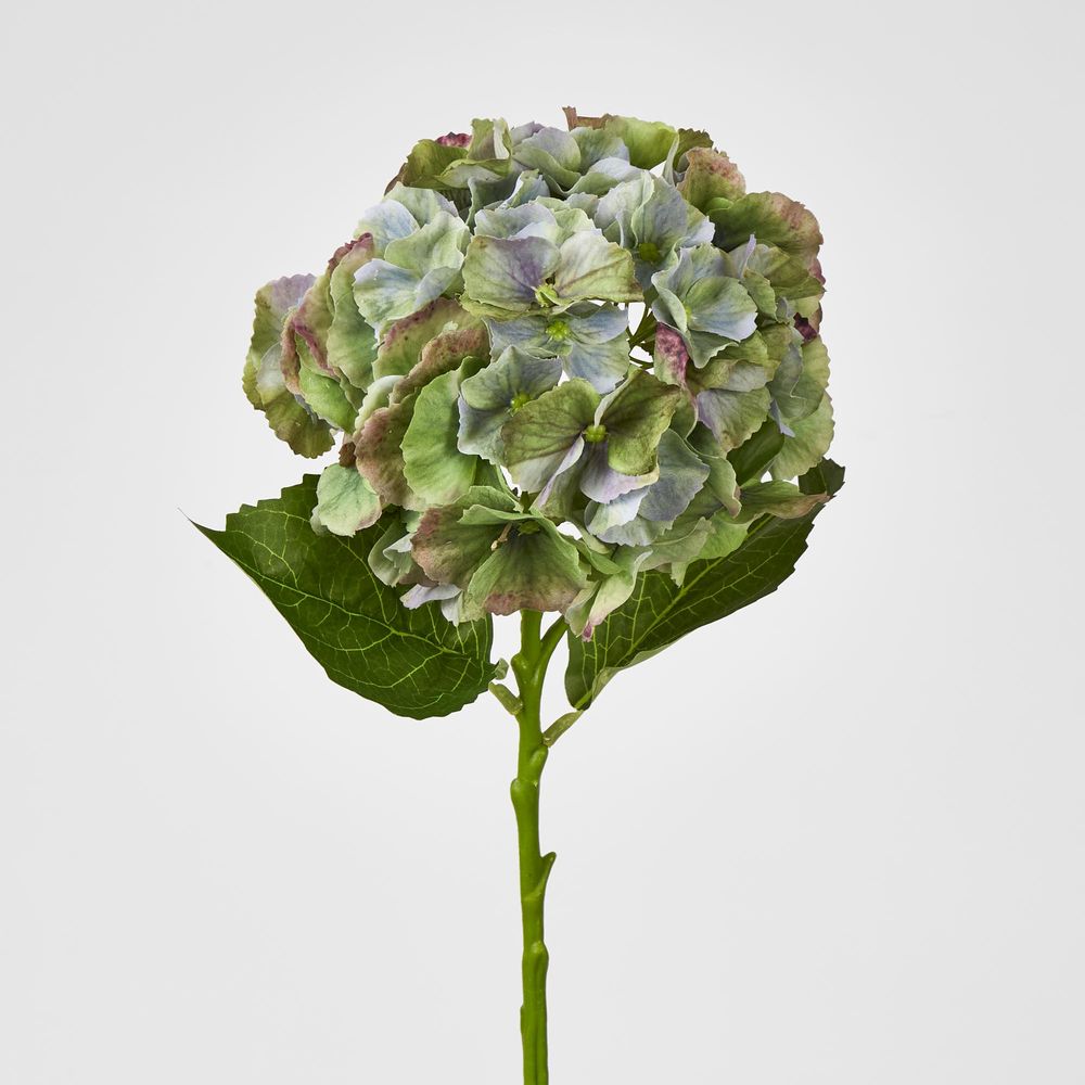 Susan Hydrangea Soft Touch Antique Green 52Cm