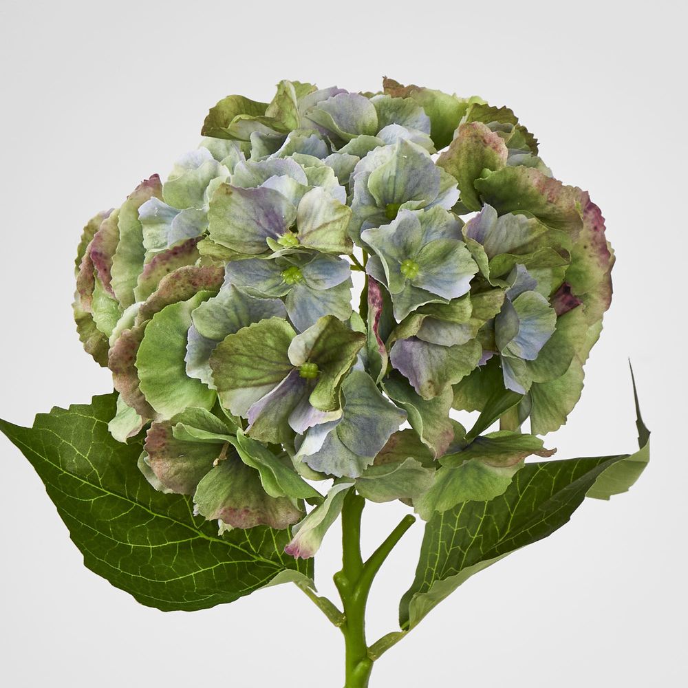 Susan Hydrangea Soft Touch Antique Green 52Cm