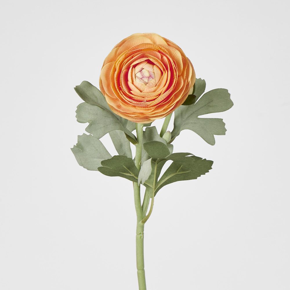 Clara Orange Ranunculus Spray 49Cm