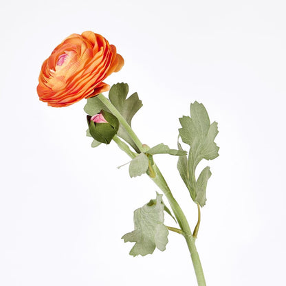 Clara Orange Ranunculus Spray 49Cm